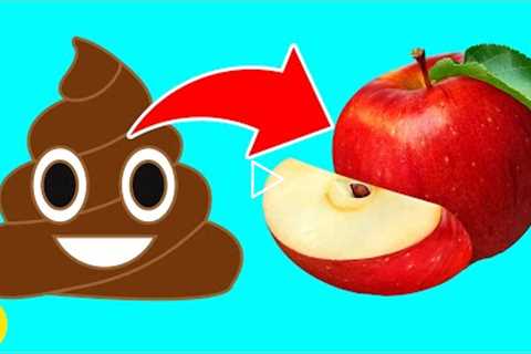 13 Foods That Make You Poop