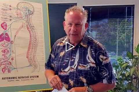 Autonomic Nerve System  Kent East Chiropractic