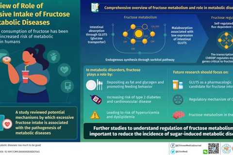 What Overconsumption of Fructose Can Do to Our Body