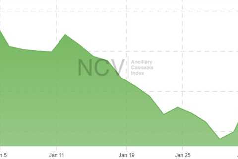 Ancillary Cannabis Stocks Plunge 16.5% in January – New Cannabis Ventures