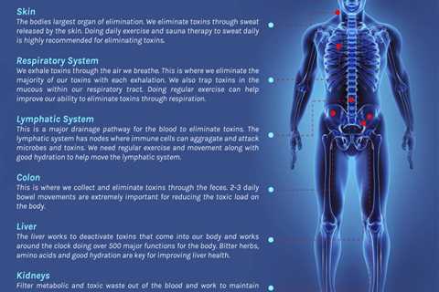 Rest When You Cleanse Your Body of Toxins