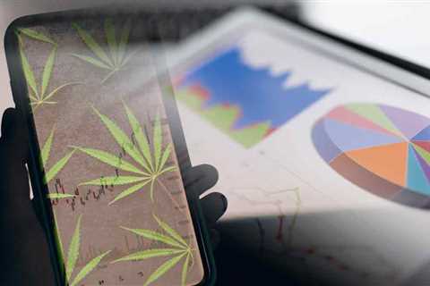 Top Marijuana Stocks To Buy For Active Traders? 3 For Your List Right Now