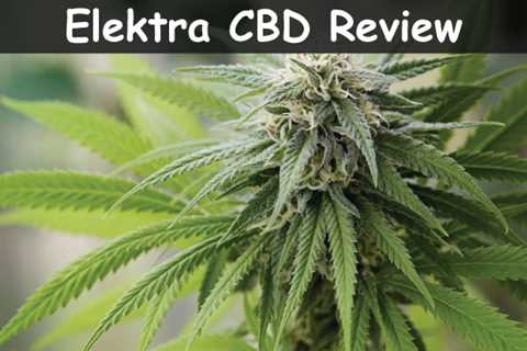 Elektra CBD Strain Review | CBDhealinghand.com