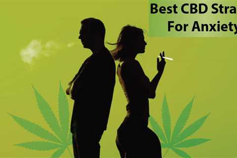 Best CBD Strains For Anxiety - CBDhealinghand.com