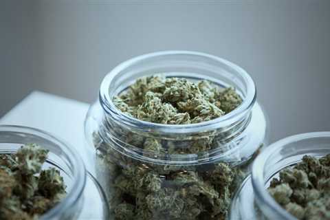 New Hampshire Lawmakers Approve State-Run Marijuana Legalization Bill With Amendments, Sending It..