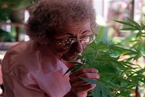 Brownie Mary and Her Legacy-Cannabis Life Network