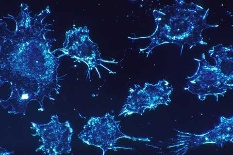 Pancreatic Cancer Cells Harness Normal Tissue Turnover To Build Protective Barriers