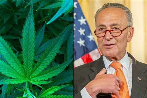 Schumer Talking To GOP To ‘See What They Want’ In Marijuana Legalization Bill Coming This Month