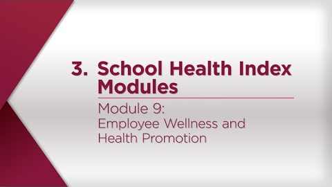 Module 9: Employee Wellness and Health Promotion