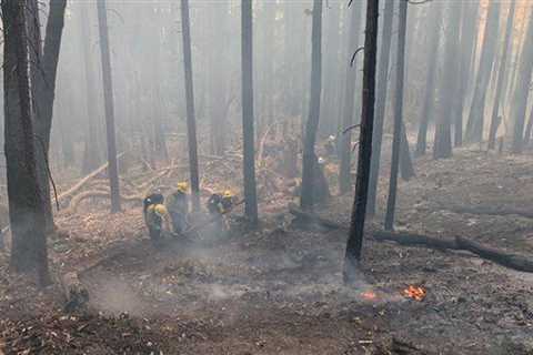 Firefighters continue battling Six Rivers fire in Northern California