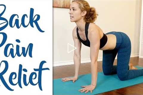 Fast Lower Back Pain & Sciatica Pain Relief – Beginners Yoga Stretches and Poses