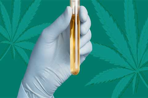 Does hemp make you pop on a drug test?