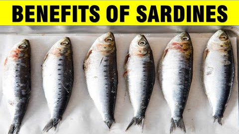 10 Surprising Health Benefits of Sardines | Nutritional Benefits