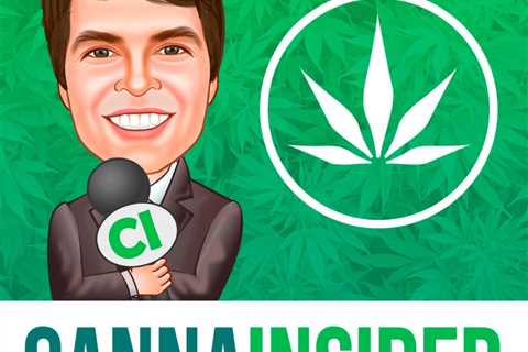 9 Best Cannabis Podcasts – WeedSeedShop