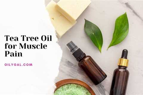 Tea Tree Oil for Muscle Pain – How to Apply for Simple Relief