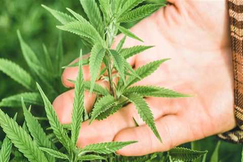 Is there a demand for hemp?