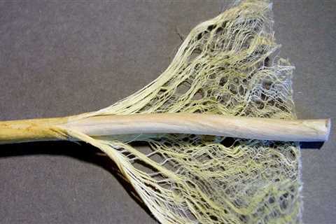 What are hemp stalks used for?