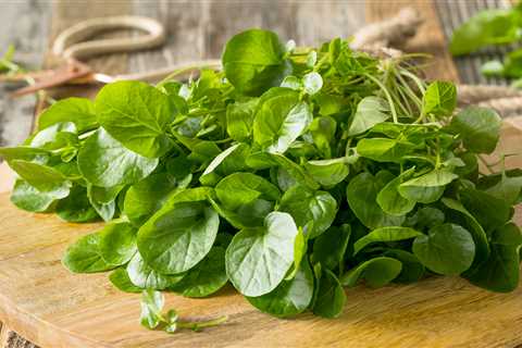 This Delicious Leafy Green Can Help Reduce Wrinkles, Boost Heart Health, and Lower Cancer Risk