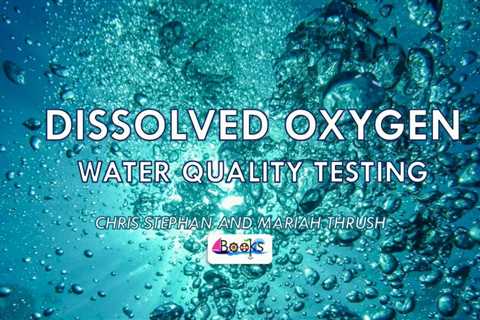 How to Use Oxygenating Water in Hydroponics