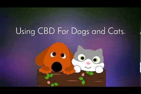 CBD Oil for Dog Seizures