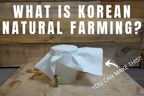 What is Korean Natural Farming???  [Hint... It''s way beyond organic]