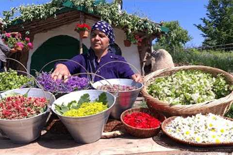 Harvesting and Drying Herbs for Teas and Cooking Easy Spring Dish, Cooking on Nature