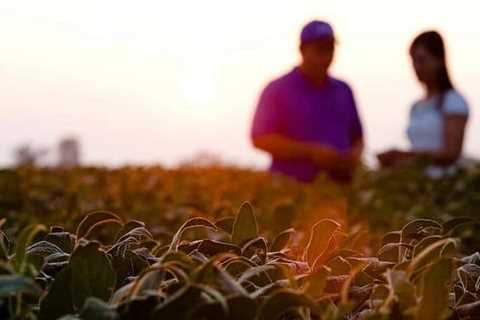 Buying Local Organic Foods