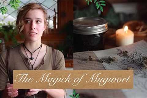 The Magick of Mugwort | Magickal Herbal Profile | Properties of Herbs