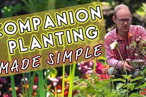 Why Vegetables Need Friends: Companion Planting Made Simple 🌺🐝🥕