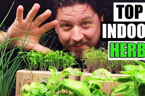 Top 5 Herbs To Grow Indoors