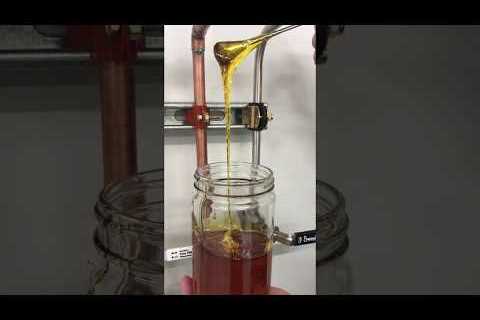 Extract CBD Oil from Hemp with Supercritical CO2 for Quality Products