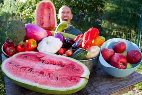 Colorful October Garden Harvest and Tour, If You Want Organic Food You Have to Grow it Yourself