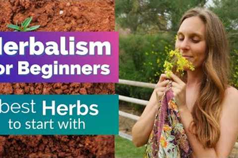 Herbalism for Beginners - 3 herbs to start with