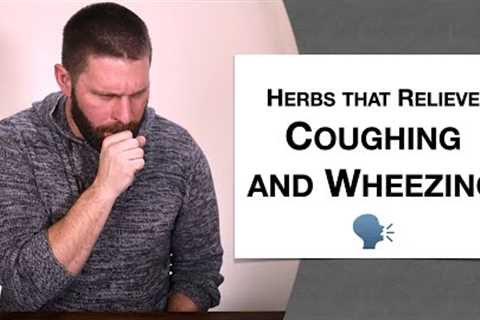 🌿 Herbology 2 Review - Herbs that Relieve Coughing and Wheezing (Extended Live Lecture)
