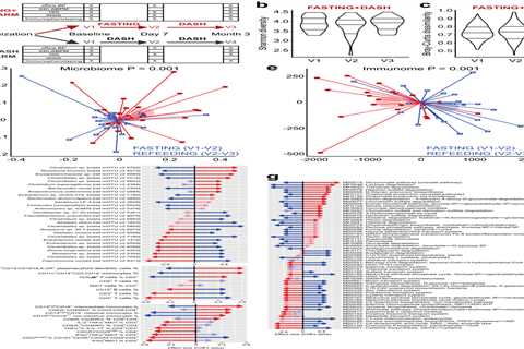 Intermittent Fasting and the Gut Microbiome