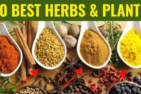 Top 10 Best Medicinal Herbs - For Health & Vitality
