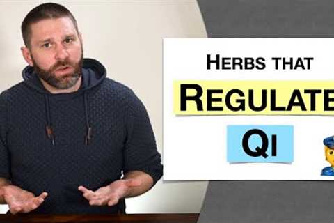 🌿 Herbology 2 Review - Herbs that Regulate the Qi (Extended Live Lecture)
