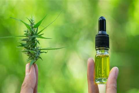 What Do You Need to Know Before Buying CBD?