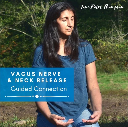 Vagus Nerve & Neck Release Guided Exercise