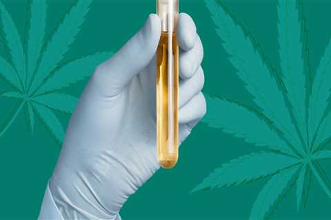 Will Broad Spectrum CBD Cause You to Fail a Drug Test?