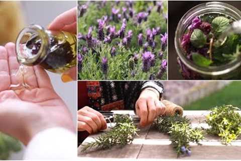My Garden Diary: Herbal Infusions & Tea