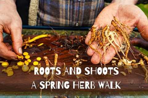 Shoots and Roots | Spring Herb Walk