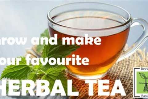 How to GROW and MAKE your favourite HERBAL TEA