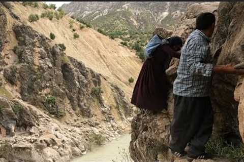 Nomadic men and women go to pick plants and drink mountain tea