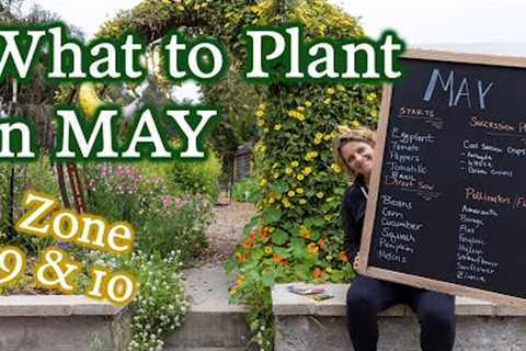 May Planting Guide for Gardeners in Zones 9 & 10 | Vegetable, Herb & Flower Seeds To Start