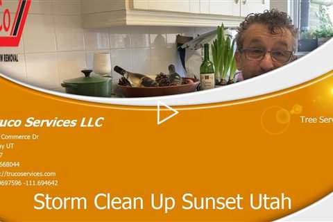 Storm-Clean-Up-Summit-Park-Utah