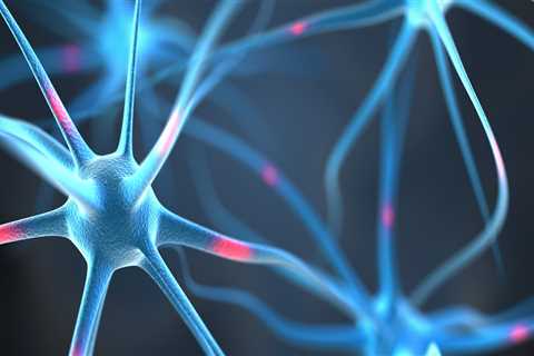 What Brain Receptors Does CBD Affect?