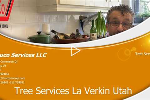 Tree-Services-Kaysville-Utah