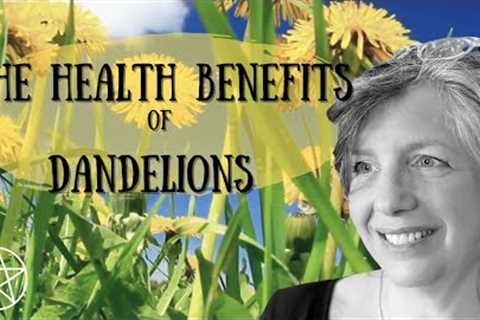 The Health Benefits of Dandelions, their Witchcraft and Folklore || Herbology