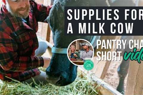 Supplies Needed for a Milk Cow | Pantry Chat Podcast SHORT